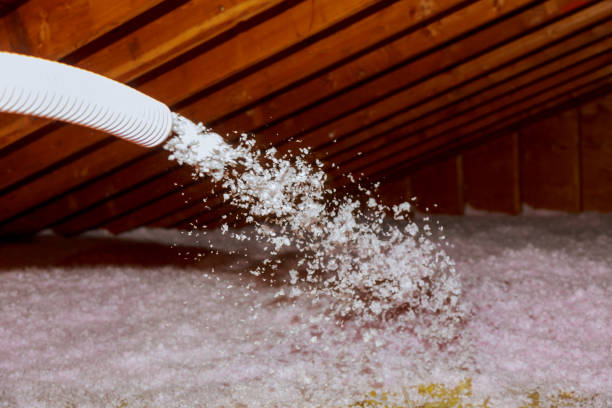 Best DIY Insulation Kits and Guidance in Los Fresnos, TX