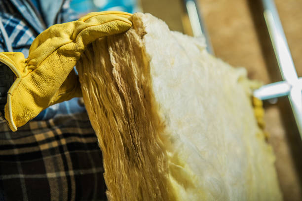 Types of Insulation We Offer in Los Fresnos, TX